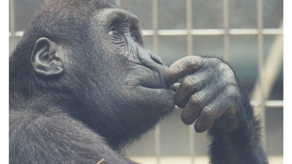 „KÖRPERUNZUFRIEDENHEIT BETRIFFT NUR DICKE“ UND ANDERE&nbsp;VORURTEILE